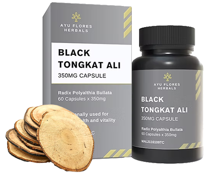 黒色のトンカットアリ