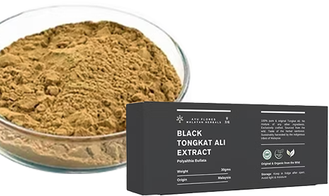 黒色のトンカットアリ-エキスBOX